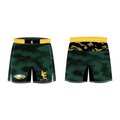 Lake Erie 2026 Fight Shorts