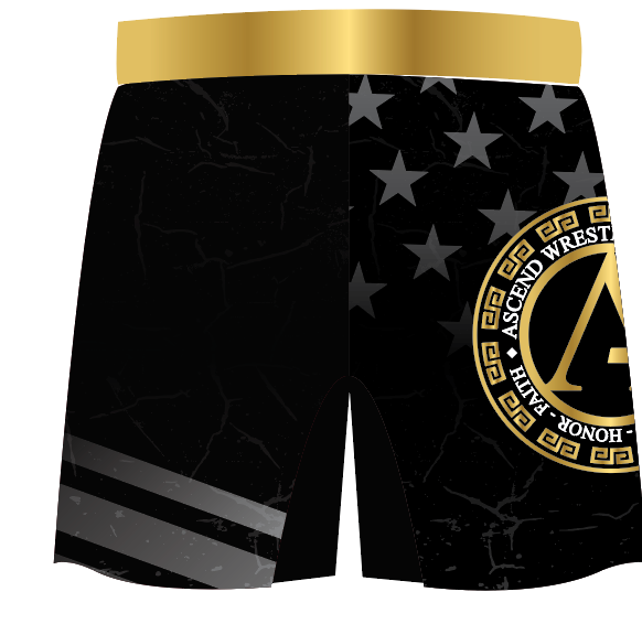 Ascend 2026 Fight Shorts